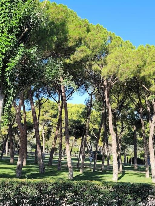 Apartamento Azabache Zaragoza Luaran gambar